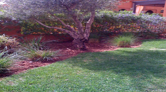 Villa pas cher  avec piscine en vente