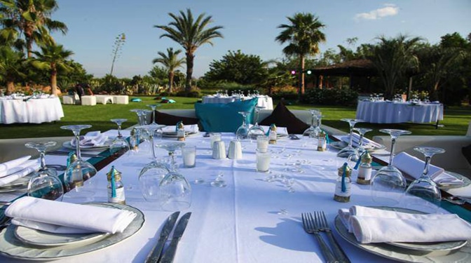 Land for Sale in Palmeraie