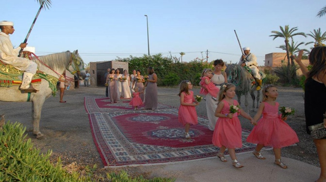 Land for Sale in Palmeraie