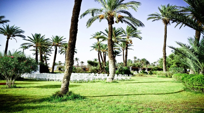 Land for Sale in Palmeraie