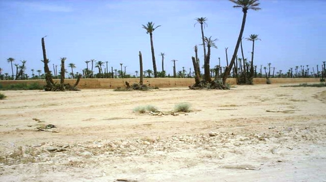 Titled Land for Sale in Route de Fes