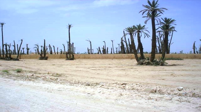 Titled Land for Sale in Route de Fes