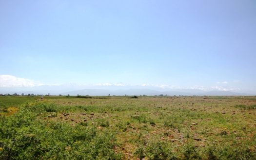 Vente terrain viabilisé titré au calme la route tahnaout