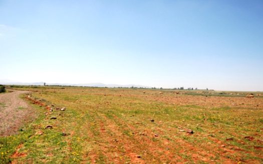 Vente terrain viabilisé titré au calme la route tahnaout