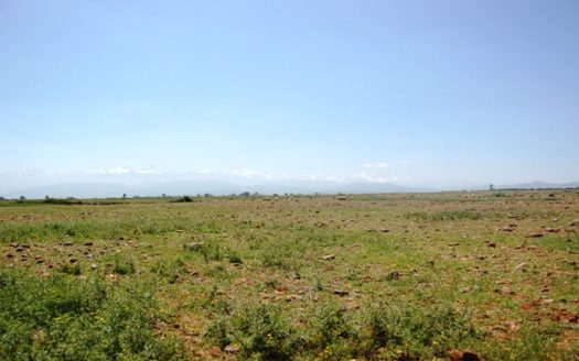 Vente terrain viabilisé titré au calme la route tahnaout