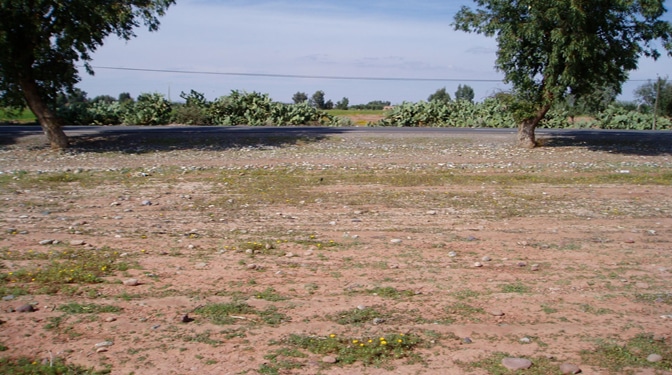 Land for Sale in Route de Fes