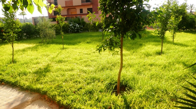 Petite villa en vente Marrakech