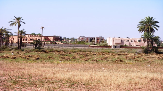 Titled Land for Sale in Palmeraie