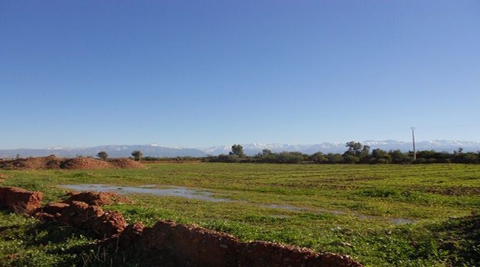 Titled Land for Sale in Route de l'Ourika