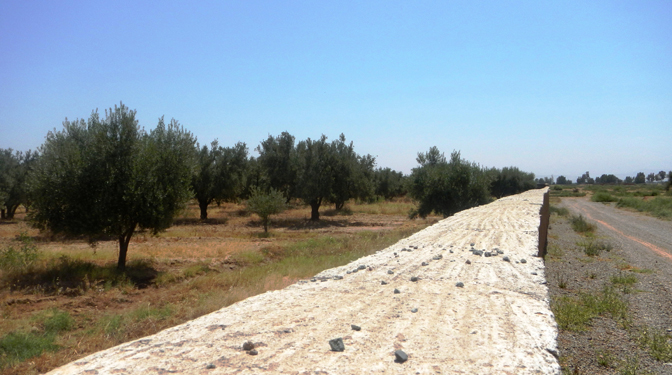 Land for Sale in Route de Sidi Abdella Ghiat