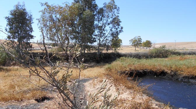 Titled Land for Sale in Route du Barrage