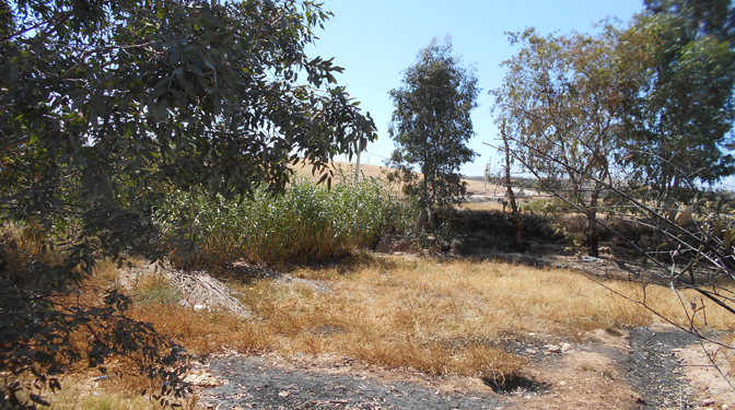 Titled Land for Sale in Route du Barrage