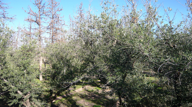 Land for Sale in Route de Fes