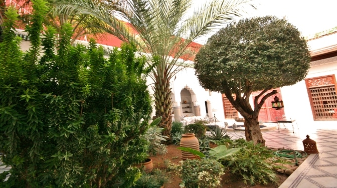 vente riad maison d hote avec piscine sur le toit