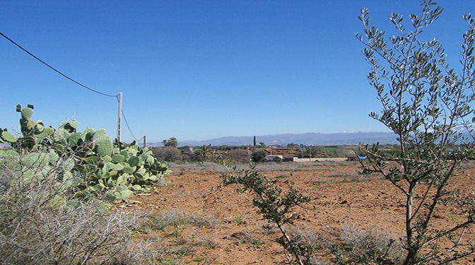 Land for Sale in Route de l'Ourika