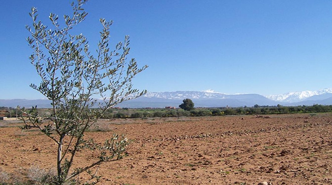 Land for Sale in Route de l'Ourika