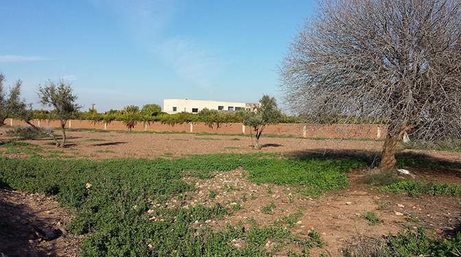 Land for Sale in Route du Barrage