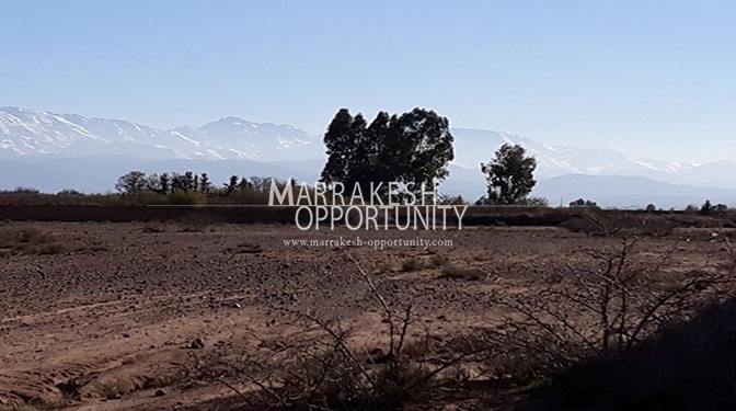 Land for Sale in Route de Sidi Abdella Ghiat
