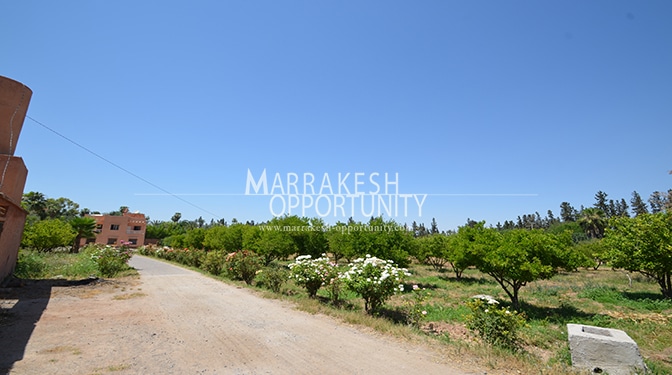 Land for Sale in Palmeraie