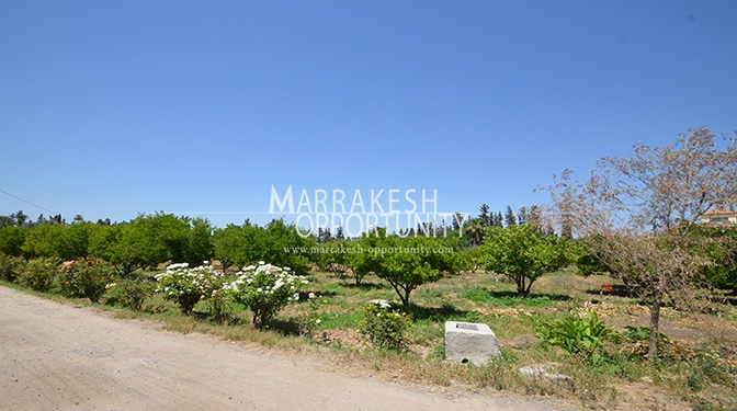 Land for Sale in Palmeraie