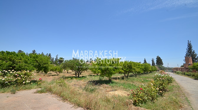 Land for Sale in Palmeraie