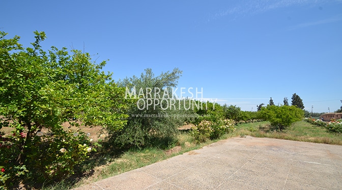Land for Sale in Palmeraie