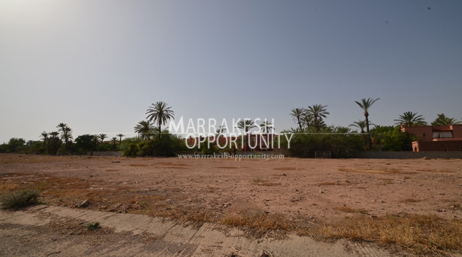 Land for Sale in Palmeraie