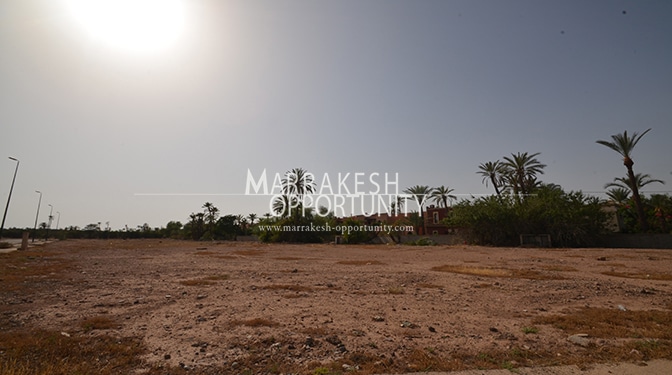 Land for Sale in Palmeraie