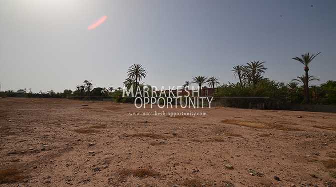 Land for Sale in Palmeraie