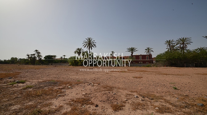 Land for Sale in Palmeraie