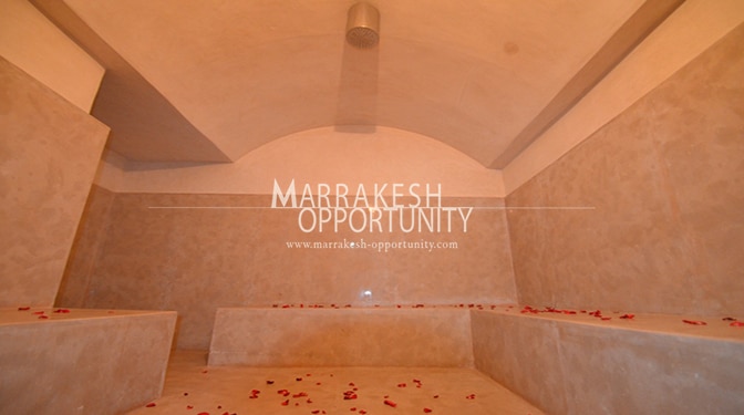 Location vacance villa moderne palmeraie